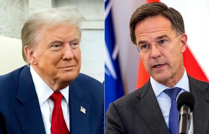 El jefe de la OTAN, Mark Rutte, se reúne con Donald Trump en Estados Unidos