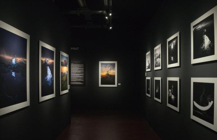 la nueva exposición de Didam destaca los “Talentos del País Vasco”