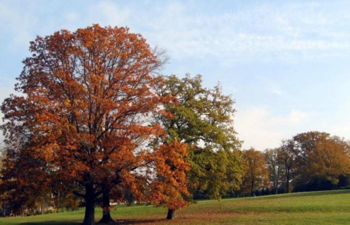 Espectacular aumento de las temperaturas: más de 10°C de aumento en 24 horas