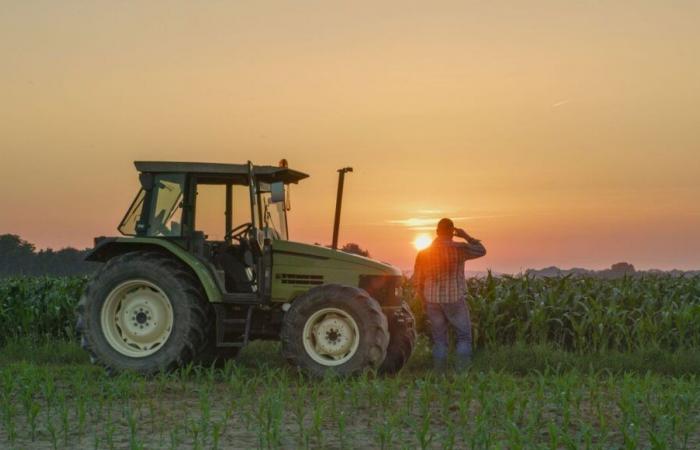 Tras su encuentro en “l’Amour est dans le pré”, lanzaron su marca de palomitas de maíz made in Creuse