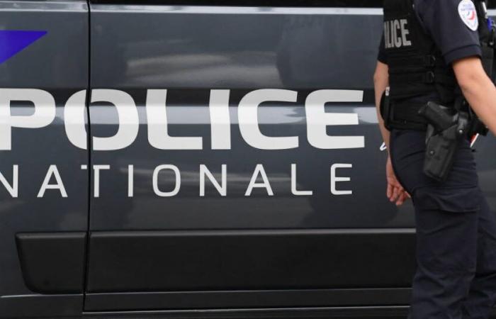 Val-d’Oise. Anciana asesinada con cuchillo y su hija puesta bajo custodia policial