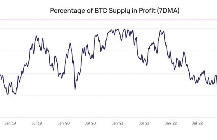 Bitcoin el 23 de noviembre: el 99% de los operadores obtienen ganancias en BTC, ¿es hora del aumento final?