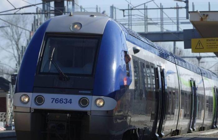 Varios cientos de pasajeros de TER y TGV atrapados en mitad de la noche en las Landas