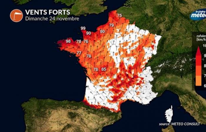 Clima domingo 24 de noviembre: espectaculares rachas suaves, pero cuidado con el viento violento