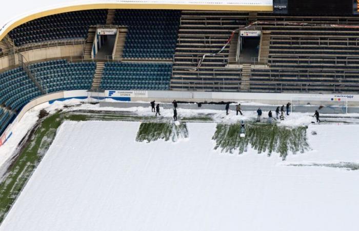 Los aficionados ayudan a quitar la nieve del Swissporarena