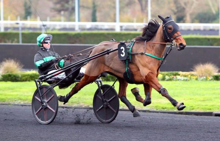 Prix ​​​​Vourasie (Gr. III): Marion d’Atout conserva su invencibilidad