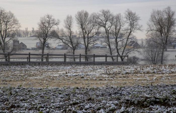 Previsión meteorológica: ¿qué pasará este sábado, ante el espectacular aumento de las temperaturas?