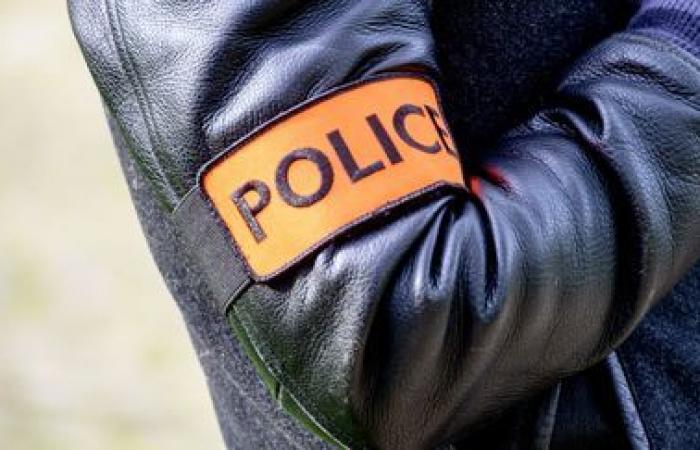 Un hombre gravemente herido durante su detención en Val-de-Marne