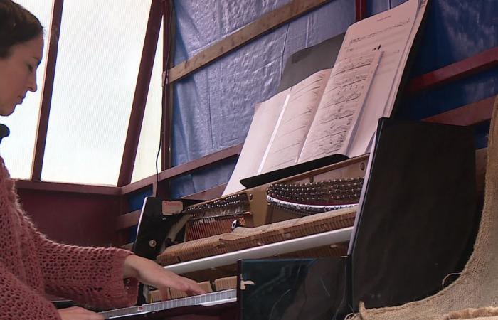 entre cultura y agricultura, toca el piano en un camión de ganado