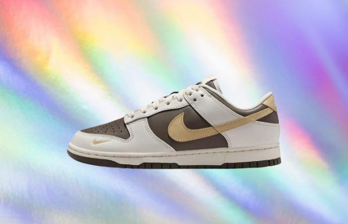 A ese precio, los aficionados a las zapatillas se hacen con este modelo Nike Dunk Low (-30%)