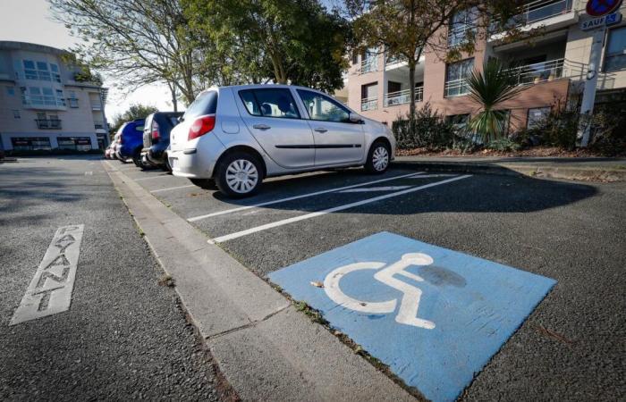 A su amiga discapacitada le roban el coche y lo dañan; ella lanza una recaudación de fondos en línea