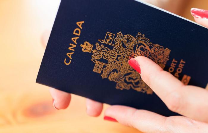 Privacidad | Ottawa pierde un pasaporte por día