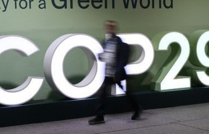 Los países ricos ahora podrán cumplir sus objetivos climáticos comprando créditos de carbono.