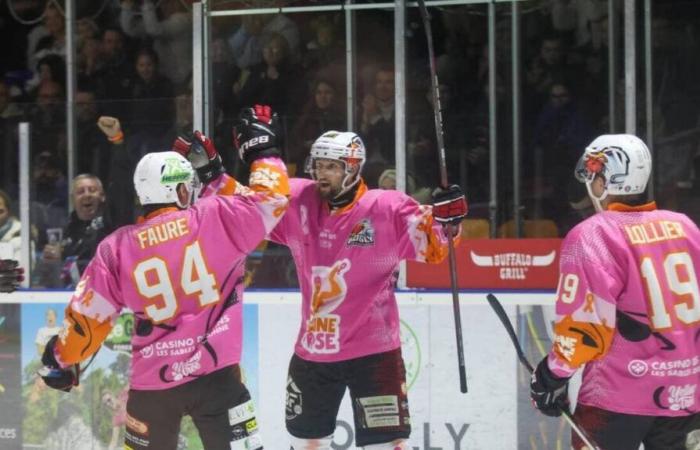 Hockey sobre hielo. El Hogly derriba Toulouse y ve la vida en rosa