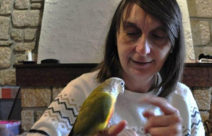 En Morbihan, ayuda a la gente a gestionar mejor sus emociones gracias a los pájaros