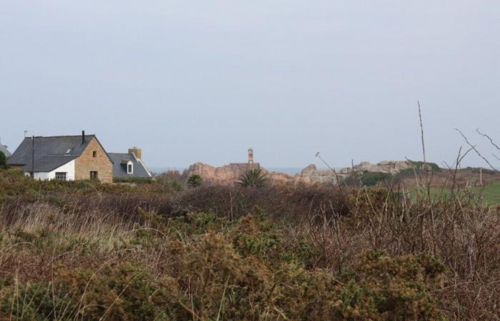 En la isla de Bréhat, el macizo de páramos y bosques estará clasificado por riesgo de incendio