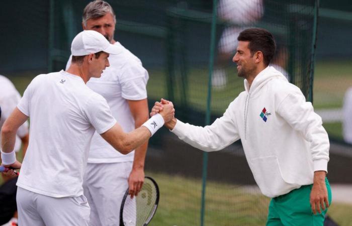 Andy Murray entrena a Novak Djokovic