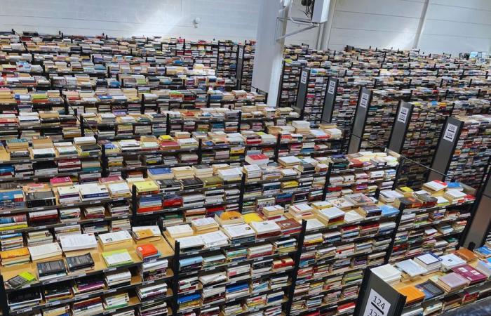 Se venden 20.000 libros a 1 euro cada uno para financiar trabajos de integración