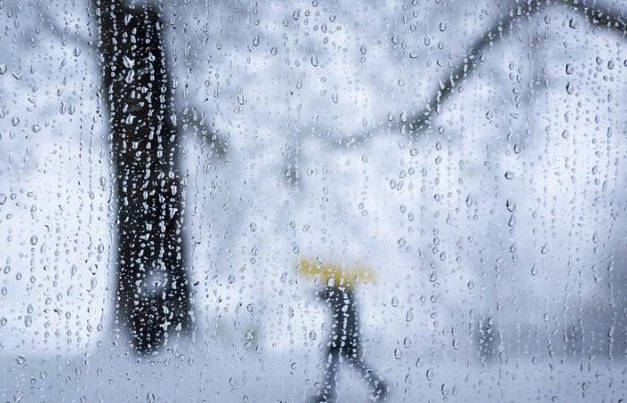 Lluvia en Gard y Hérault, aumento de las temperaturas en otros lugares… ¿qué tiempo nos espera este fin de semana después de la tormenta Caetano?