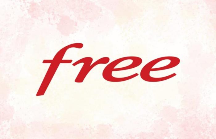 Free arde y ofrece su caja de Internet a precios de locura durante el Black Friday