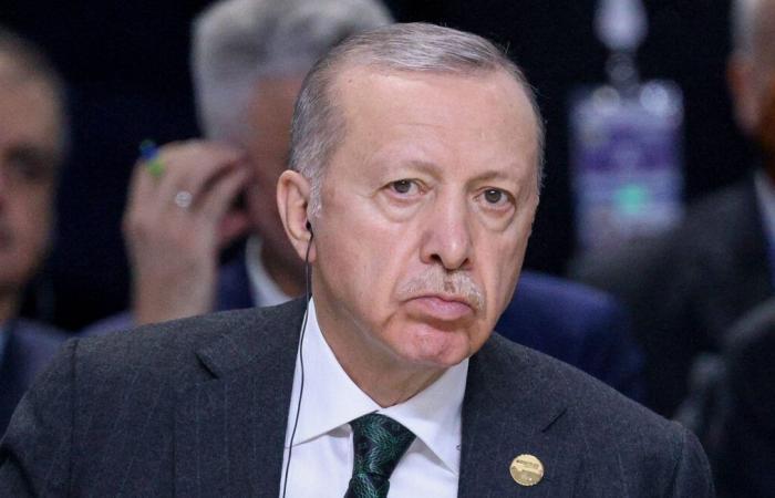 Erdogan aplaude la orden de arresto de la CPI contra Netanyahu