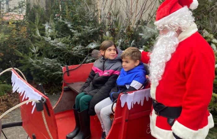 EN FOTOS – En Creuse, la “tradición” del mercado navideño de Crocq