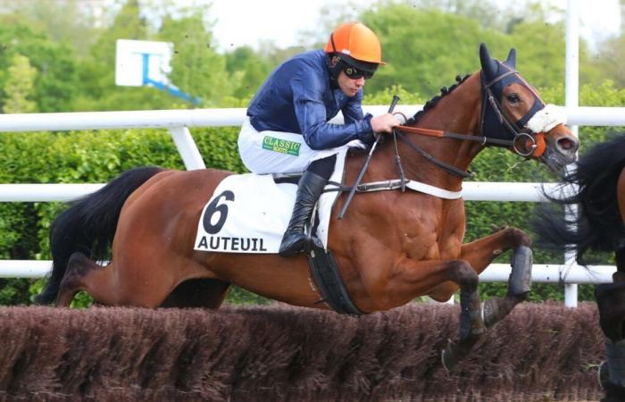 Domingo en Auteuil – Quinté+: Kamikaze du Tay es unánime