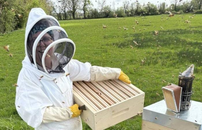 En el Canal de la Mancha, a la peluquera se le cayeron las tijeras para criar abejas y hacer miel