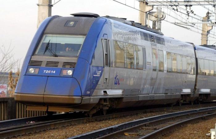 SNCF: 220 pasajeros en un tren de Hendaya