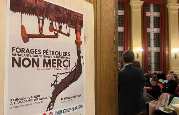 “Es un desastre ecológico potencial”: en Francia, dos proyectos de extracción de petróleo suscitan polémica