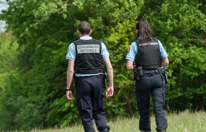 El cuerpo de una mujer de 81 años descubierto en un bolso, su vecino detenido