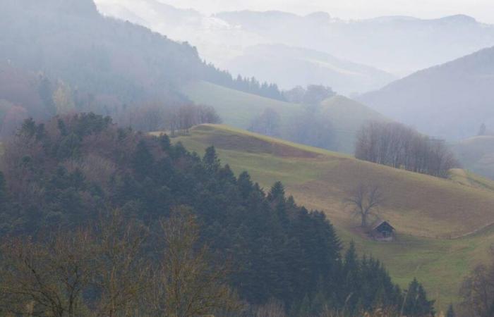 Con “La Ferme du Paradis”, Bernard Comment crea una road movie soleada a través de un mundo que se cierra