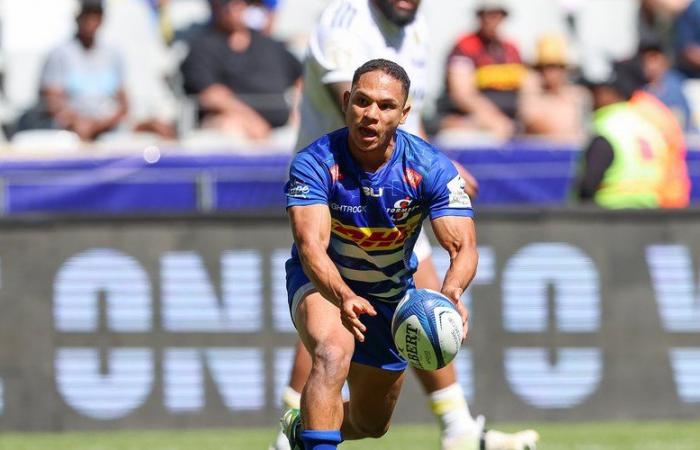 Fichajes/Top 14. Herschel Jantjies ha dado su acuerdo al Bayona