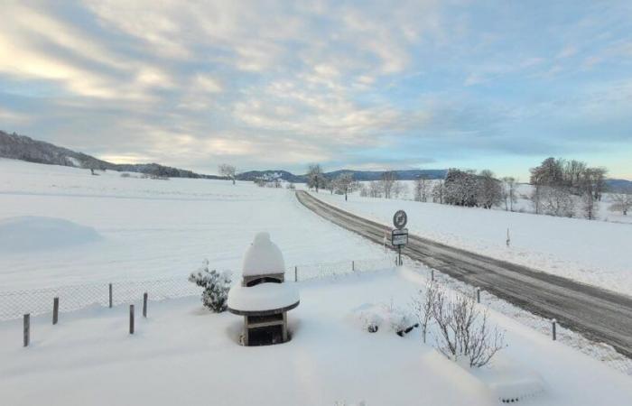 Resumen del episodio de nieve – MeteoSwiss