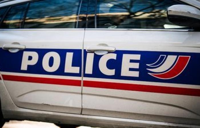 El cuerpo de una mujer de 81 años descubierto en una bolsa en el bosque cerca de Blois