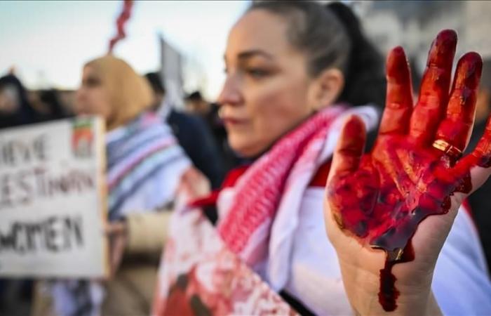 Apoyo a Palestina en las calles de Amsterdam