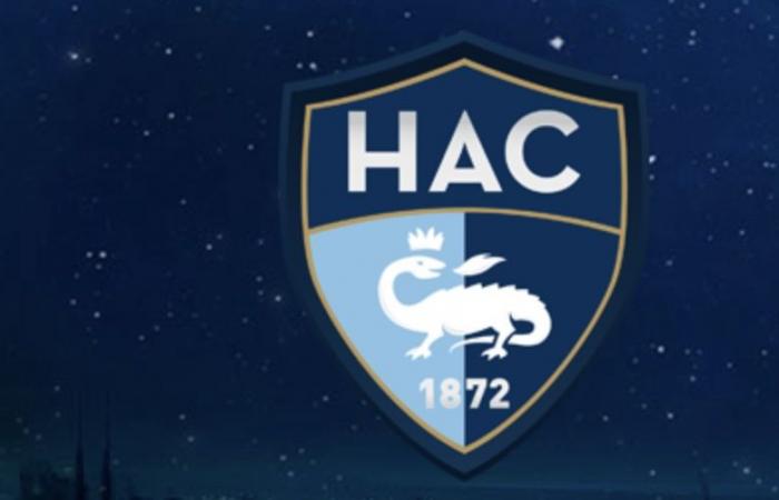 Mercato Havre AC: Después de André Ayew, otro ex OM apuntado por el HAC