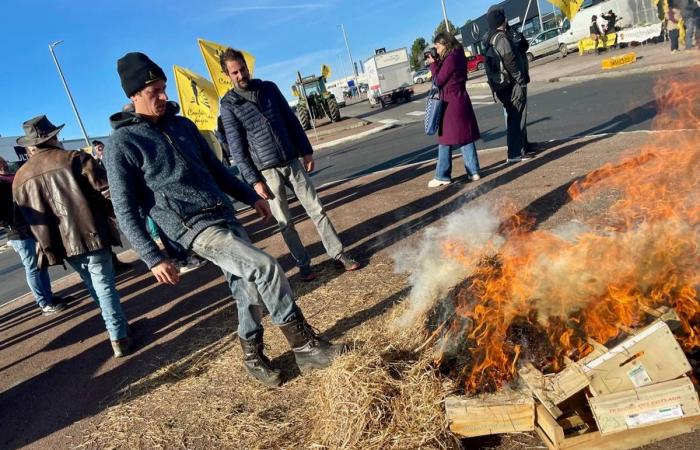 ¿Por qué los agricultores se manifestaron frente a un concesionario Mercedes en Limoges?