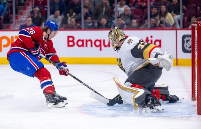 Caballeros Dorados-Canadienses | ¿Un combate y una audición para el Four Nations Showdown?