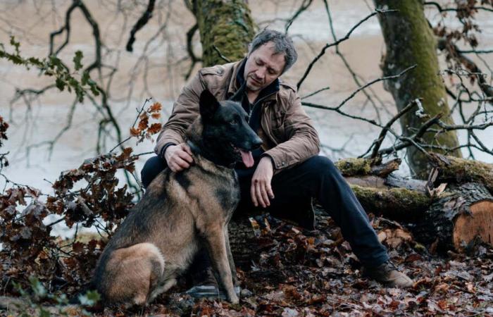 Le Voyageur (Francia 3) – Bruno Debrandt habla del perro Emy: “En realidad, se llama Maïko…”