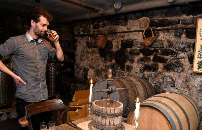 Originales, a veces salvajes, descubra las cervezas de la cervecería Barrez en Aveyron