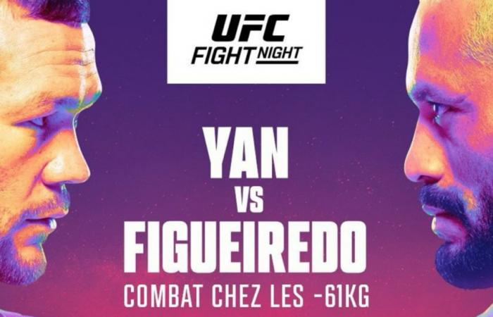 UFC Fight Night: ¿a qué hora y en qué canal ver las peleas en vivo este fin de semana?