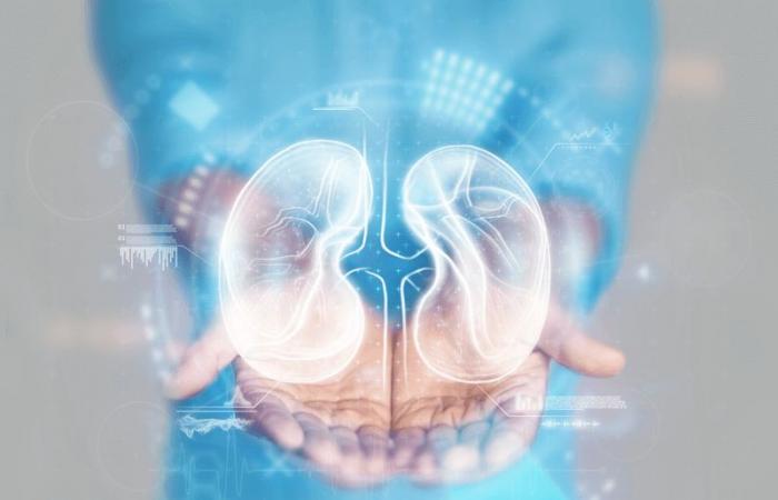 Monitoreo observacional post-EMPA-KIDNEY: ¿hay recuerdo de las gliflozinas?