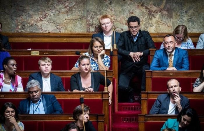 Los diputados de La France insoumise quieren derogar el delito de apología del terrorismo