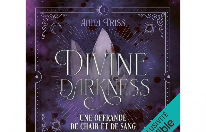 Divine Darkness volumen 1 ¡una novela romántica en la cima!