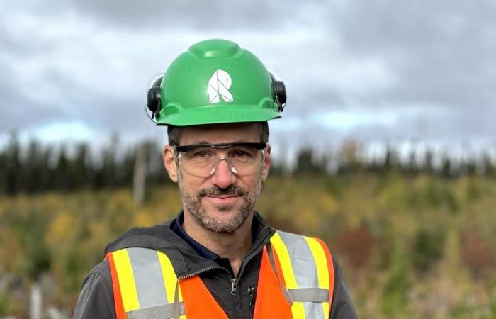 ¿Cómo está el bosque de Quebec, 25 años después del error boreal?