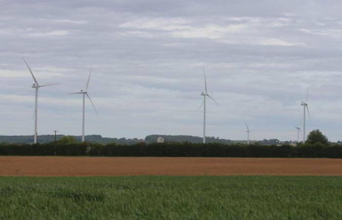 Este parque eólico debería ver la luz en Sarthe: los opositores están decepcionados