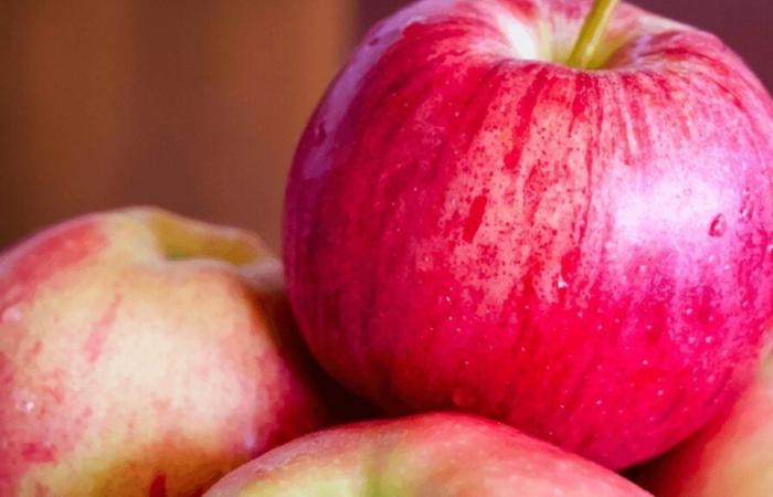 ¿Se puede picar una manzana entre horas?