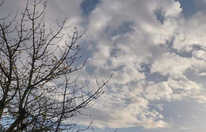 Después de dos días de nieve, ¿qué tiempo nos espera en Sena y Marne?