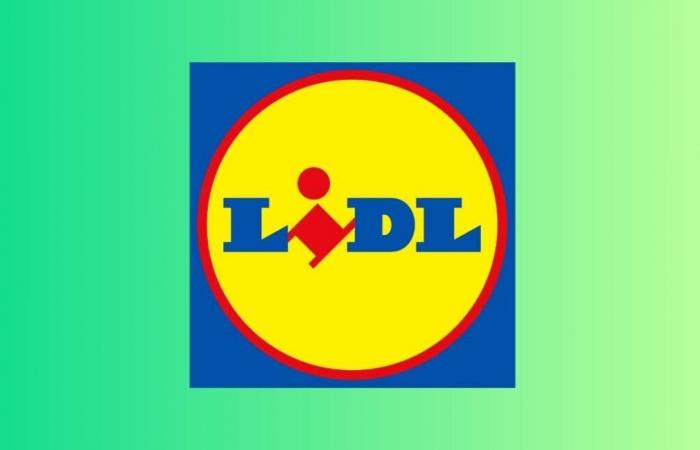 Lidl pega fuerte con este aspirador 2 en 1 a un precio espectacular